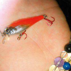 JADEフィッシュ！